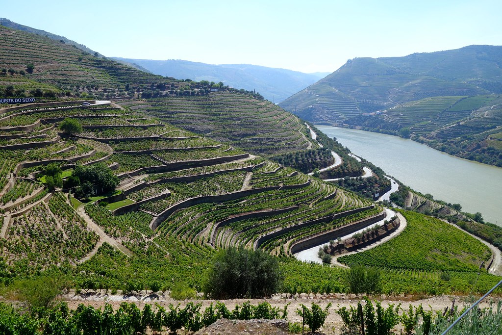 Socalcos de vinha da Quinta do Seixo sobre o rio Douro