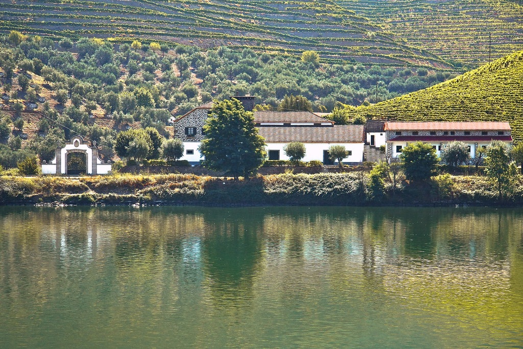 Quinta à beira do rio Douro entre vinhas